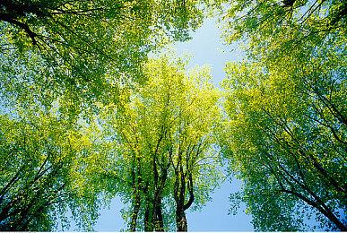 发行商XSEED公布PAX East 2022参展作品阵容