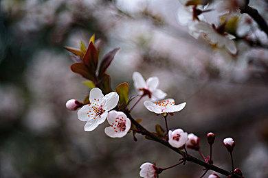 本月7款游戏将离开XGP：《银河护卫队》和《传说之下》等